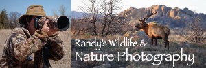 Randy's wildlife nature landscape photography